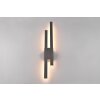 Trio Tawa Aplique para exterior LED Antracita, 2 luces