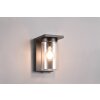 Trio Ardila Aplique para exterior Negro, 1 luz