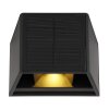 Globo SOLAR Aplique para exterior LED Negro, 1 luz