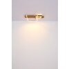 Globo VANNI Lámpara de Techo LED Color madera, Blanca, 1 luz