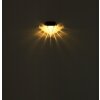 Globo SOLAR Aplique para exterior LED Negro, 1 luz