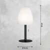 FHL easy Fiumara Lámpara de mesa LED Negro, 1 luz, Mando a distancia, Cambia de color