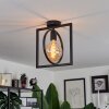 Srelau Lámpara de Techo Negro, 1 luz