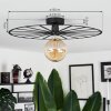 Carqueja Lámpara de Techo Negro, 1 luz