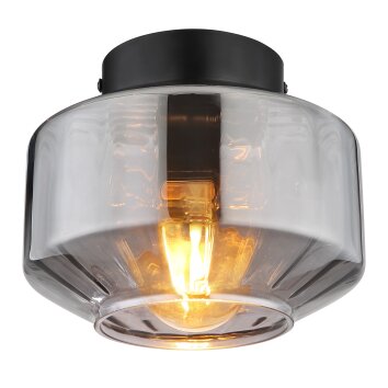 Globo CHRISTIANA Lámpara de Techo Negro, 1 luz