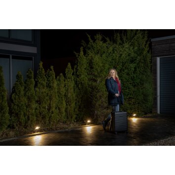 LEDVANCE ENDURA® Foco proyector jardin Gris, 1 luz