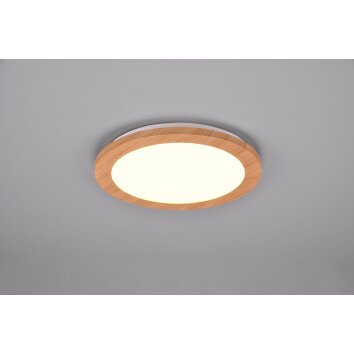 Reality Camillus Lámpara de Techo LED Color madera, Blanca, 1 luz