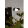 Lutec Moon Aplique para exterior LED Antracita, 1 luz