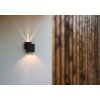 Lutec Rialto Aplique para exterior LED Negro, 2 luces