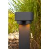 Lutec Cypres Poste de Jardín Antracita, 2 luces