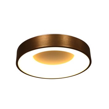 Steinhauer Ringlede Lámpara de Techo Bronce, 1 luz