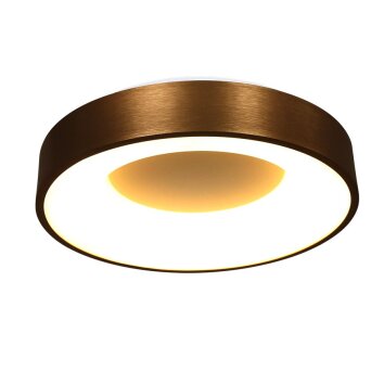 Steinhauer Ringlede Lámpara de Techo Bronce, 1 luz