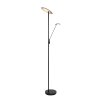 Steinhauer Daphne Lámpara de Pie LED Negro, 2 luces