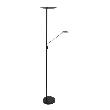 Steinhauer Daphne Lámpara de Pie LED Negro, 2 luces