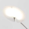Steinhauer Daphne Lámpara de Pie LED Acero bruñido, 1 luz