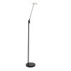 Steinhauer Daphne Lámpara de Pie LED Negro, 1 luz