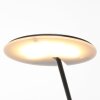 Steinhauer Daphne Lámpara de Pie LED Negro, 1 luz