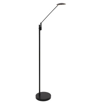 Steinhauer Daphne Lámpara de Pie LED Negro, 1 luz