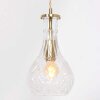 Steinhauer Grazioglass Lámpara Colgante Latón, 1 luz