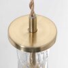 Steinhauer Grazioglass Lámpara Colgante Latón, 1 luz