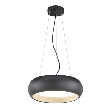 SCHÖNER WOHNEN-Kollektion Wood Lámpara Colgante LED Color madera, Negro, 1 luz