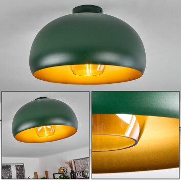 Gaudi Lámpara de Techo dorado, Verde, 1 luz