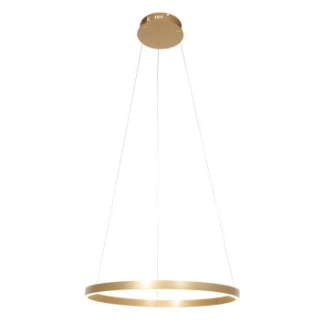 Steinhauer Ringlux Lámpara Colgante LED dorado, 2 luces