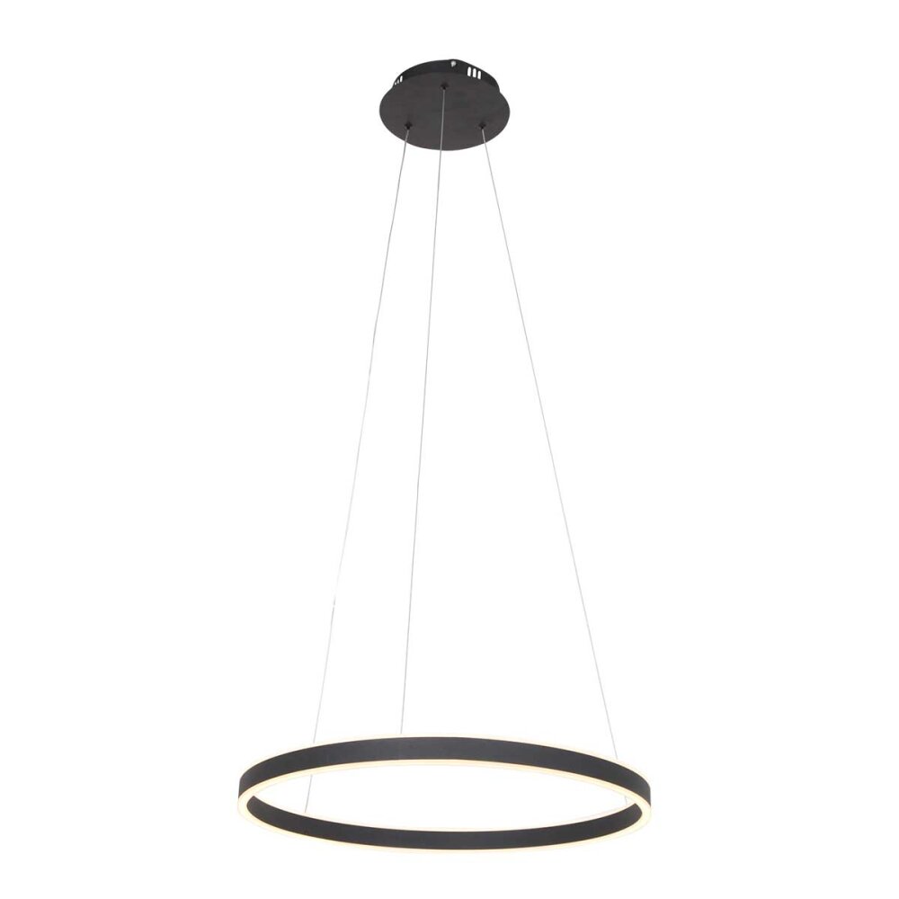 Steinhauer Ringlux Lámpara Colgante LED Negro, 2 luces main product photo