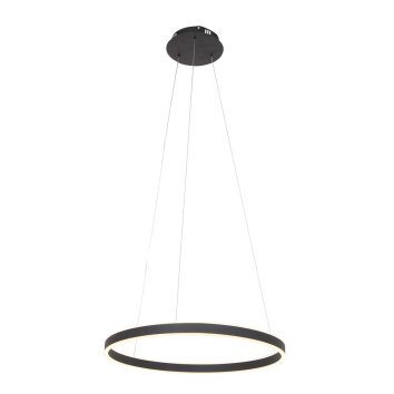 Steinhauer Ringlux Lámpara Colgante LED Negro, 2 luces