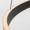 Steinhauer Ringlux Lámpara Colgante LED Negro, 3 luces