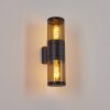 Tolsona Aplique para exterior Negro, 2 luces