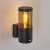 Tolsona Aplique para exterior Negro, 1 luz, Sensor de movimiento