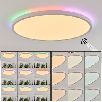Hortinhas Lámpara de Techo LED Blanca, 1 luz, Mando a distancia, Cambia de color
