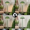 Pelaro Lámpara de mesa LED Verde, 1 luz Pelaro Lámpara de mesa LED Verde, 1 luz