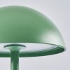 Pelaro Lámpara de mesa LED Verde, 1 luz