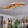 Pompu Lámpara de Techo LED Negro, 1 luz