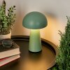 Telve Lámpara de mesa LED Verde, 1 luz