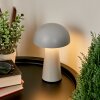 Telve Lámpara de mesa LED Gris, 1 luz