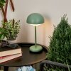 Bellange Lámpara de mesa LED Verde, 1 luz