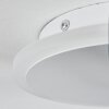 Bina Lámpara de Techo LED Blanca, 1 luz, Mando a distancia
