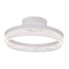 Globo RING Lámpara de Techo LED Blanca, 1 luz