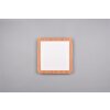 Reality Camillus Lámpara de Techo LED Color madera, Blanca, 1 luz