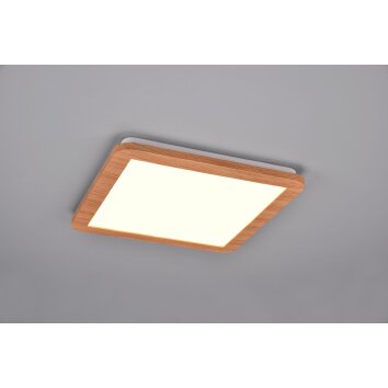 Reality Camillus Lámpara de Techo LED Color madera, Blanca, 1 luz