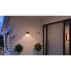 Philips Hue Resonate Aplique para exterior LED Negro, 1 luz, Cambia de color