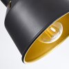 Safari Lámpara de Techo Cromo, Negro, 6 luces