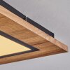 Salmi Lámpara de Techo LED Color madera, Negro, 1 luz