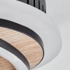 Audouin Lámpara de Techo LED Color madera, Negro, 1 luz, Mando a distancia