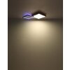 Globo JACKY Lámpara de Techo LED Color madera, Negro, 2 luces, Mando a distancia, Cambia de color