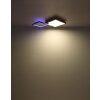 Globo JACKY Lámpara de Techo LED Color madera, Negro, 2 luces, Mando a distancia, Cambia de color
