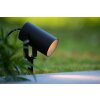 Lucide TAYLOR Foco proyector jardin Negro, 1 luz